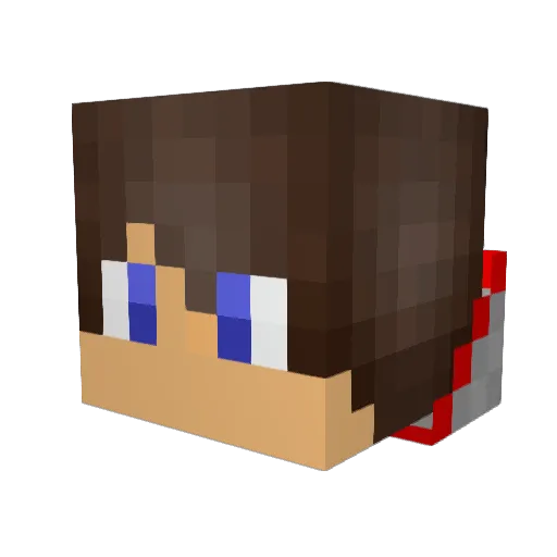 Cooliodude95 Minecraft avatar head, 3D render