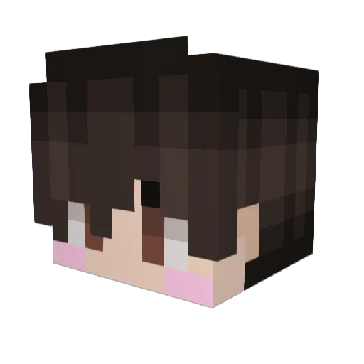 Coolion1997 Minecraft avatar head, 3D render