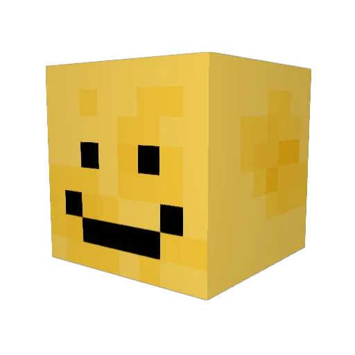 Coolios134 Minecraft avatar head, 3D render