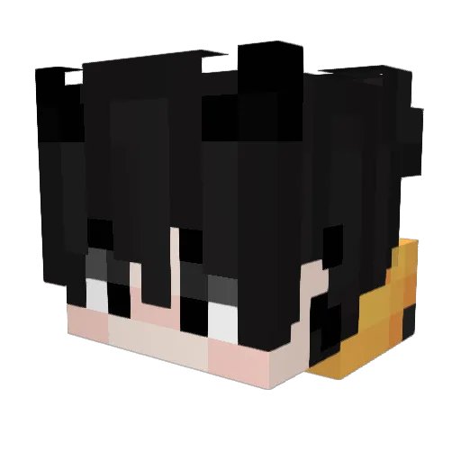 Cooljulian360 Minecraft avatar head, 3D render
