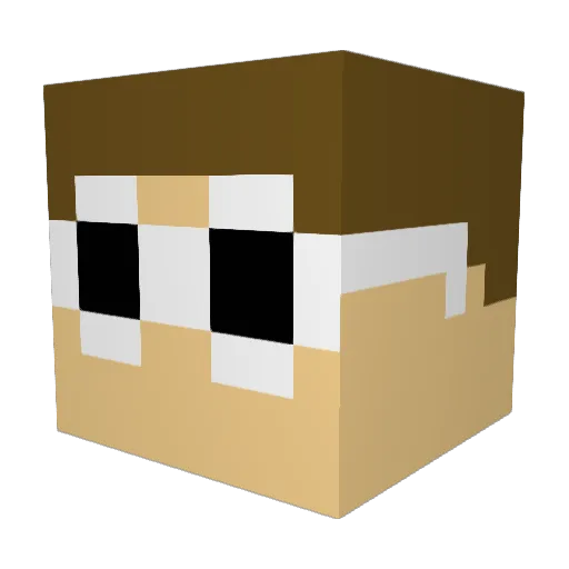 Coolkid2069 Minecraft avatar head, 3D render
