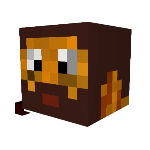 Coollow13 Minecraft avatar head, 3D render