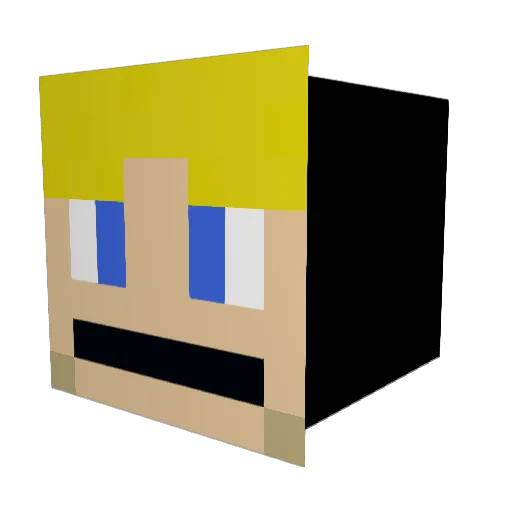 Coolman5698 Minecraft avatar head, 3D render