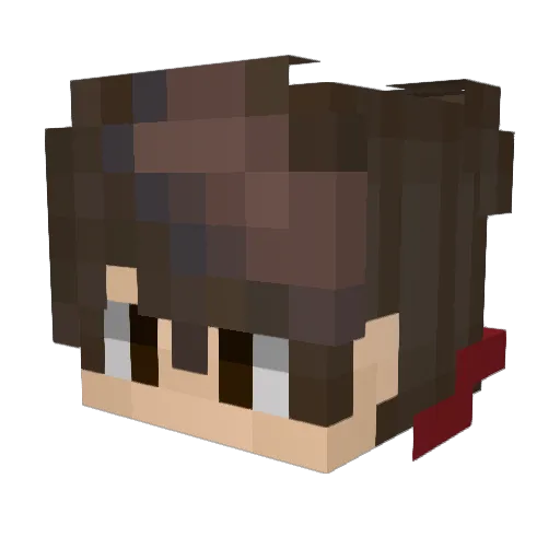 Coolmannen71 Minecraft avatar head, 3D render