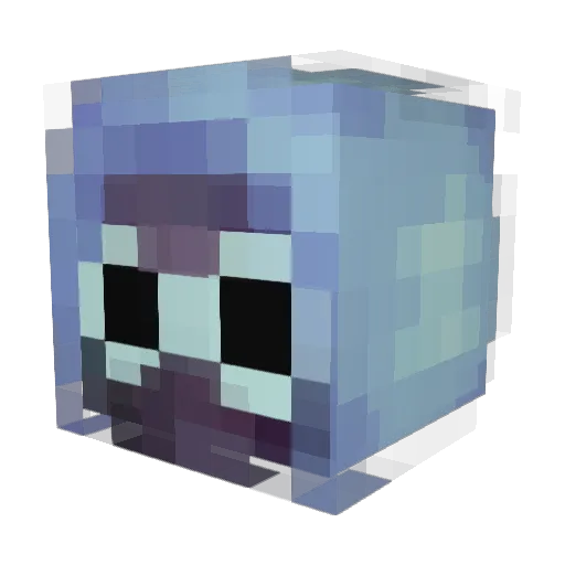 Coolmanpro11 Minecraft avatar head, 3D render