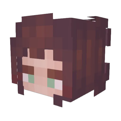 Coolmeteor64 Minecraft avatar head, 3D render