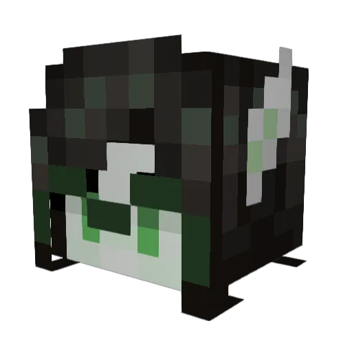 Coolmon111 Minecraft avatar head, 3D render