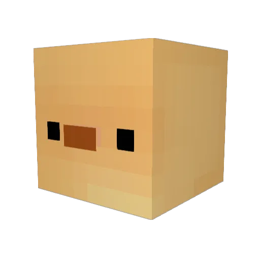 Coolnamehere725 Minecraft avatar head, 3D render