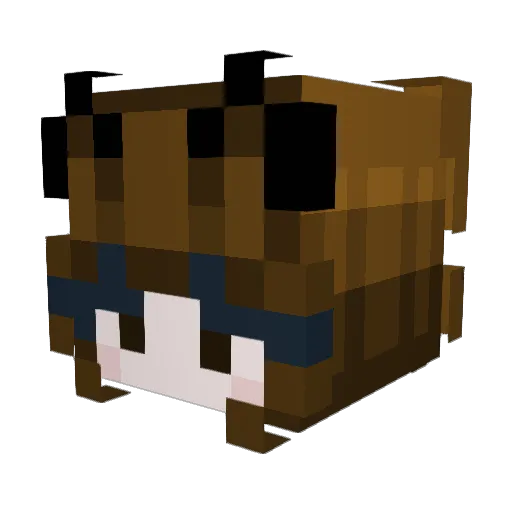Coolness123_25 Minecraft avatar head, 3D render