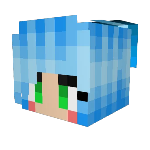Coolness335 Minecraft avatar head, 3D render