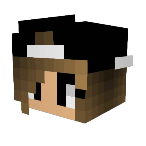 Coolnessssssssss Minecraft avatar head, 3D render