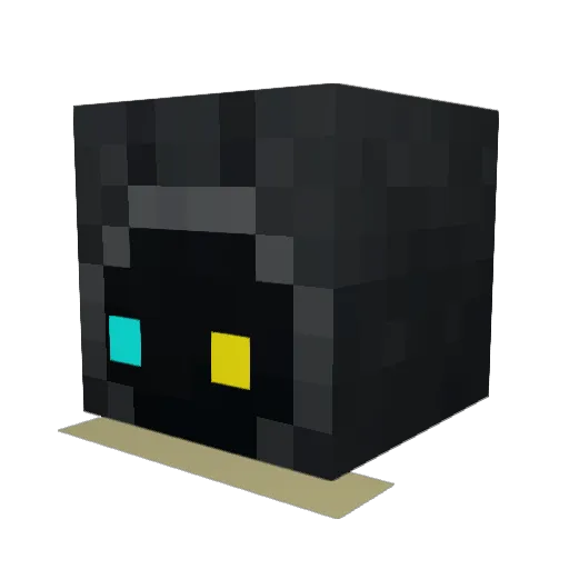 Coolo12 Minecraft avatar head, 3D render