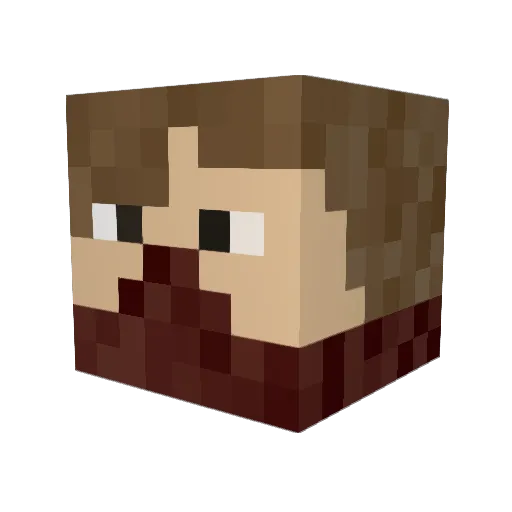 Cooloreo22 Minecraft avatar head, 3D render
