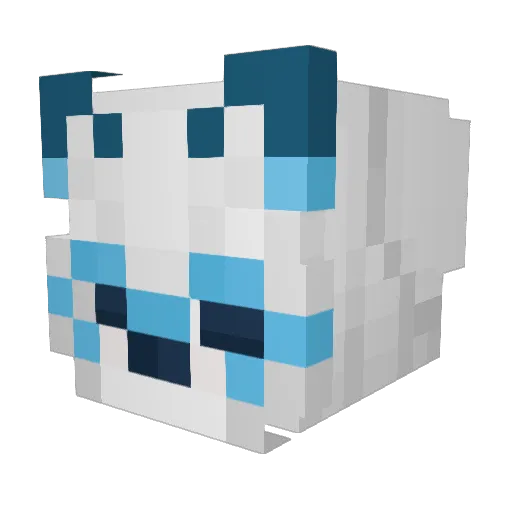 Coolpaper5283 Minecraft avatar head, 3D render