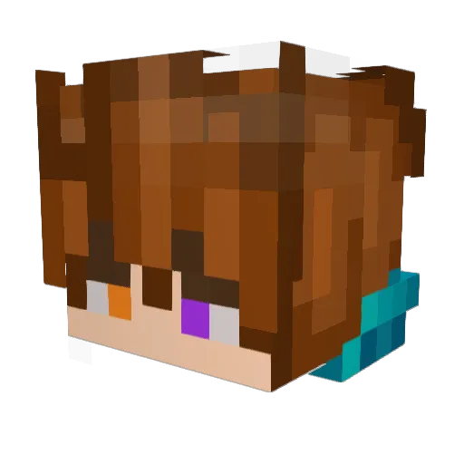 Coolpercool Minecraft avatar head, 3D render
