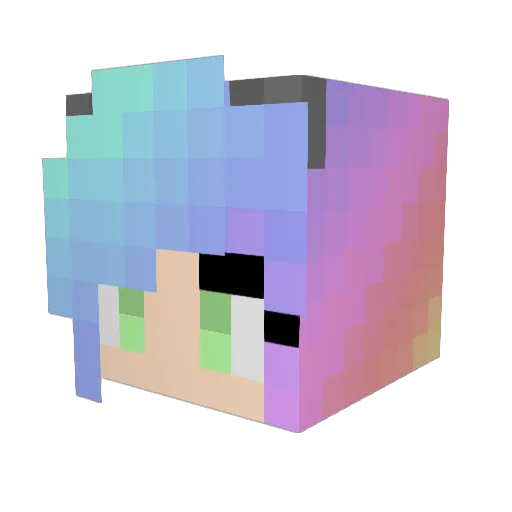 Coolpineapplez Minecraft avatar head, 3D render