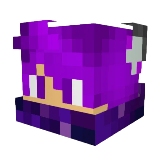 Coolpix97 Minecraft avatar head, 3D render