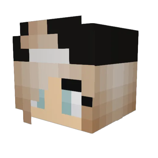 Coolraul Minecraft avatar head, 3D render