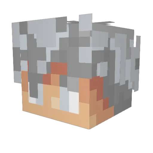 Coolsavage19 Minecraft avatar head, 3D render