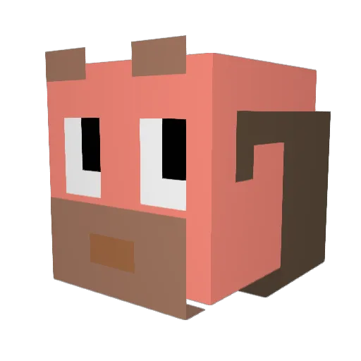 Coolspiderpig01 Minecraft avatar head, 3D render