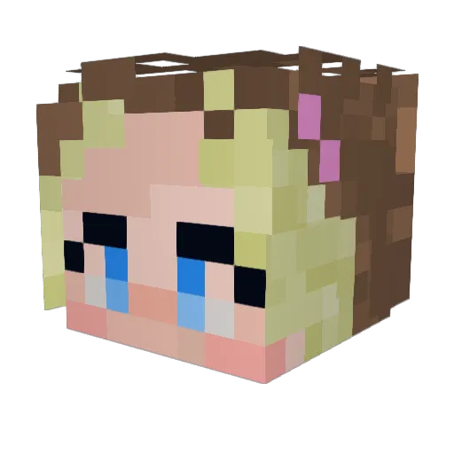 Coolsville_ Minecraft avatar head, 3D render