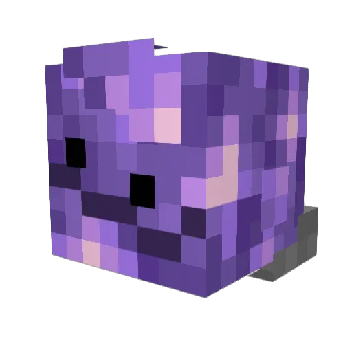 Cooluser22 Minecraft avatar head, 3D render