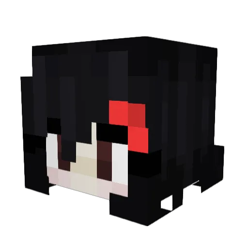 Coolvang243 Minecraft avatar head, 3D render