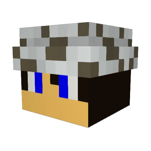 Coolwholf Minecraft avatar head, 3D render