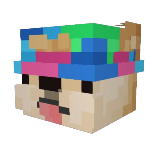 Coolwoobyer Minecraft avatar head, 3D render