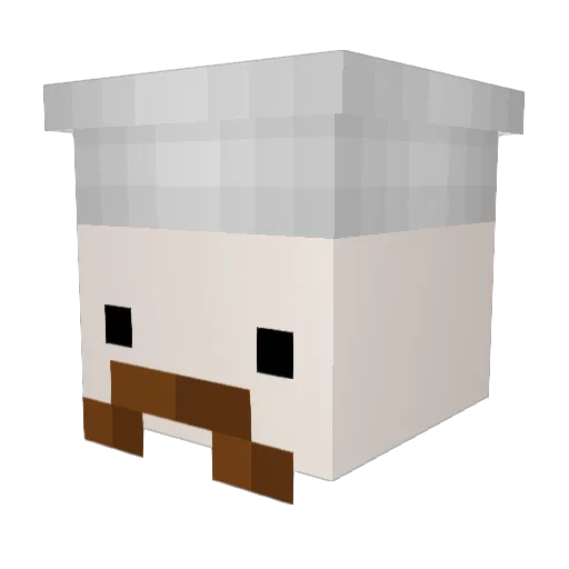 CoomDumpster_ Minecraft avatar head, 3D render