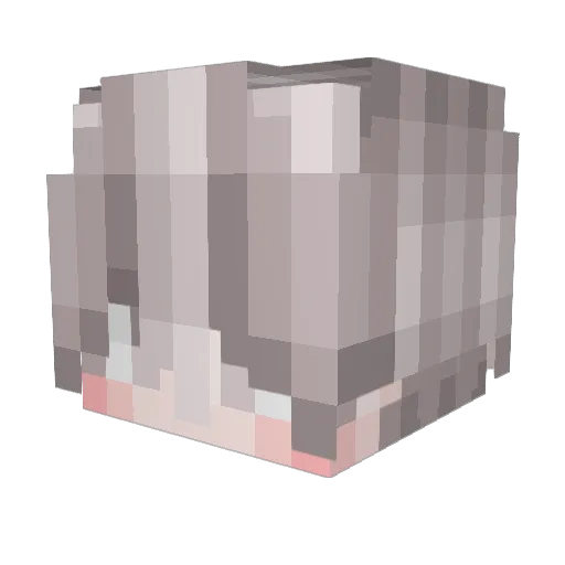 CoomyNJ Minecraft avatar head, 3D render