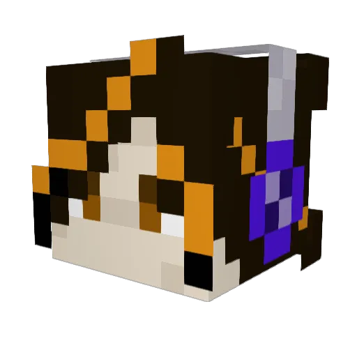 Coonakos Minecraft avatar head, 3D render