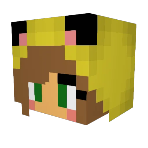 CoonyGirl Minecraft avatar head, 3D render