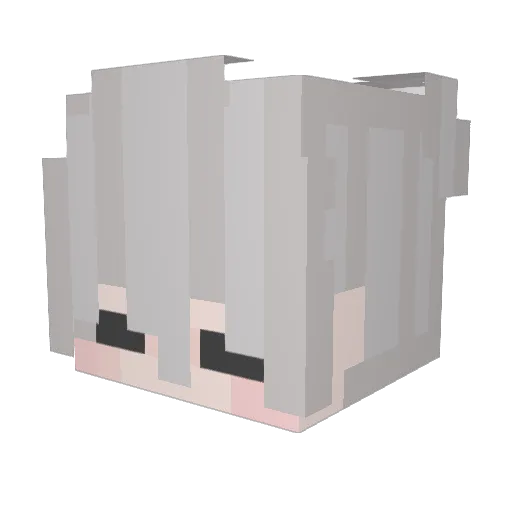 CoooAo Minecraft avatar head, 3D render