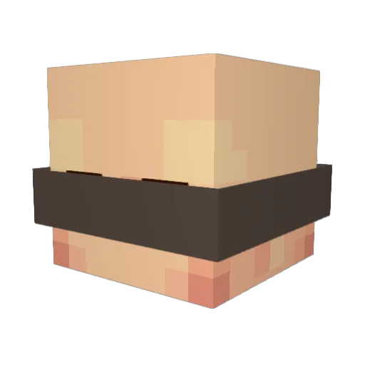 CoooLeon Minecraft avatar head, 3D render