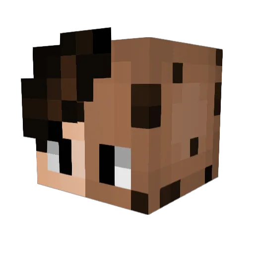 Coookie22 Minecraft avatar head, 3D render