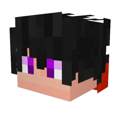 Coop1353 Minecraft avatar head, 3D render