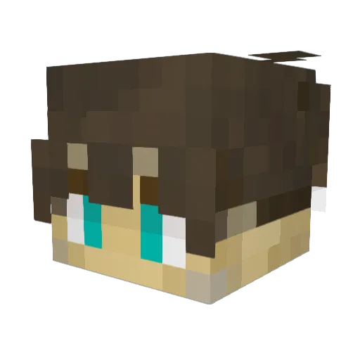 Coop247 Minecraft avatar head, 3D render