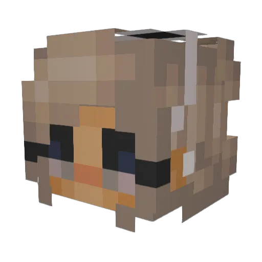 CoopCat123 Minecraft avatar head, 3D render