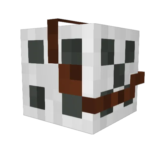 CoopTron4 Minecraft avatar head, 3D render