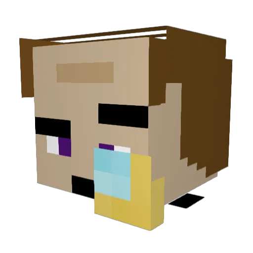 CoopaDaTroopa7 Minecraft avatar head, 3D render