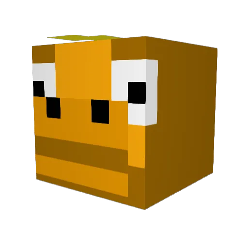 Coopacochee Minecraft avatar head, 3D render