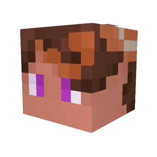 Cooper1213 Minecraft avatar head, 3D render