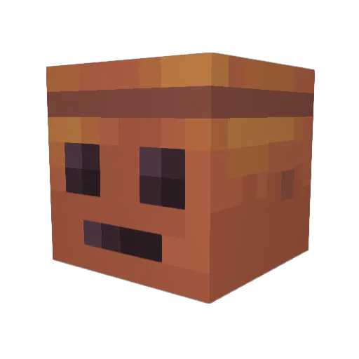CooperCat3 Minecraft avatar head, 3D render