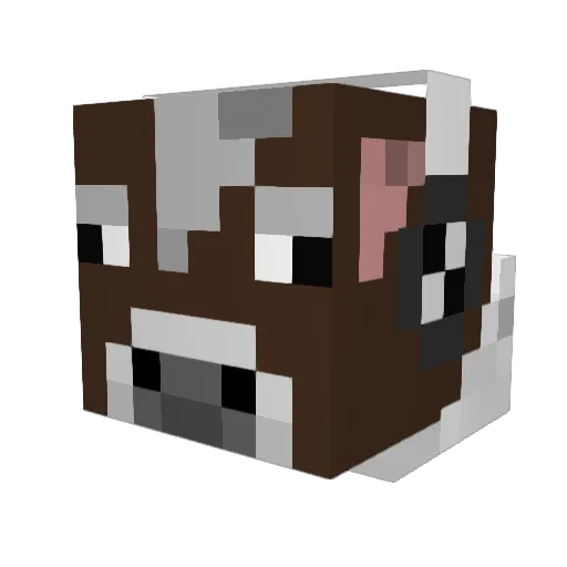CooperRoth Minecraft avatar head, 3D render