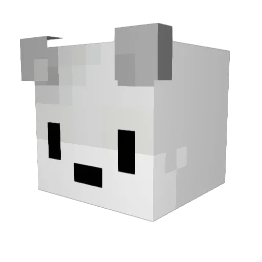 Cooper_167 Minecraft avatar head, 3D render