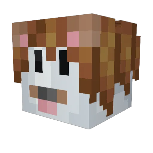 Cooper_3i Minecraft avatar head, 3D render