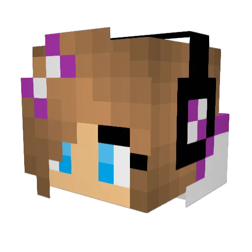 Cooper_Kids Minecraft avatar head, 3D render