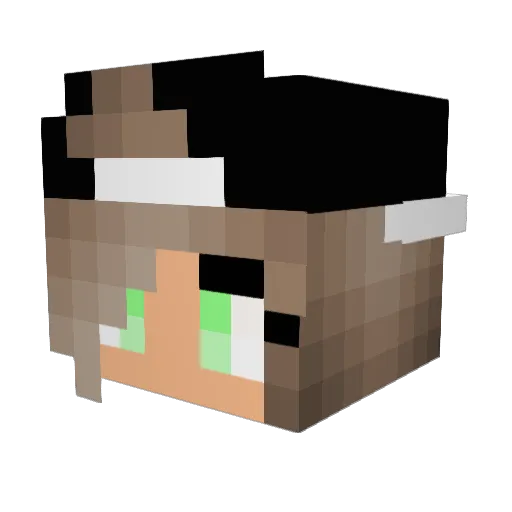 Cooper_Panthers Minecraft avatar head, 3D render