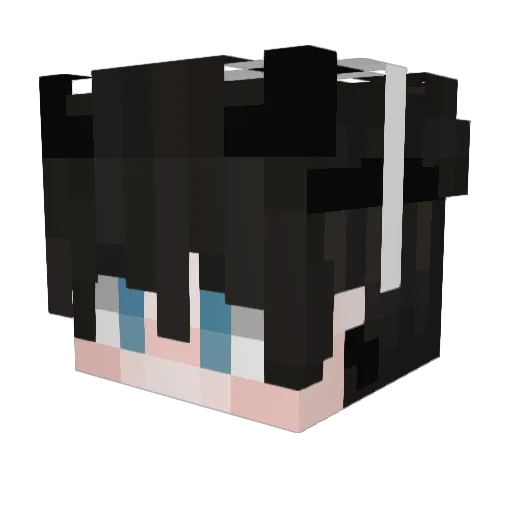 Cooperblast Minecraft avatar head, 3D render